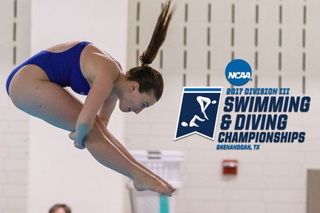 Sticco-Ivins Wins 3-Meter Regional Title, Advances to NCAAs For Third-Straight Year