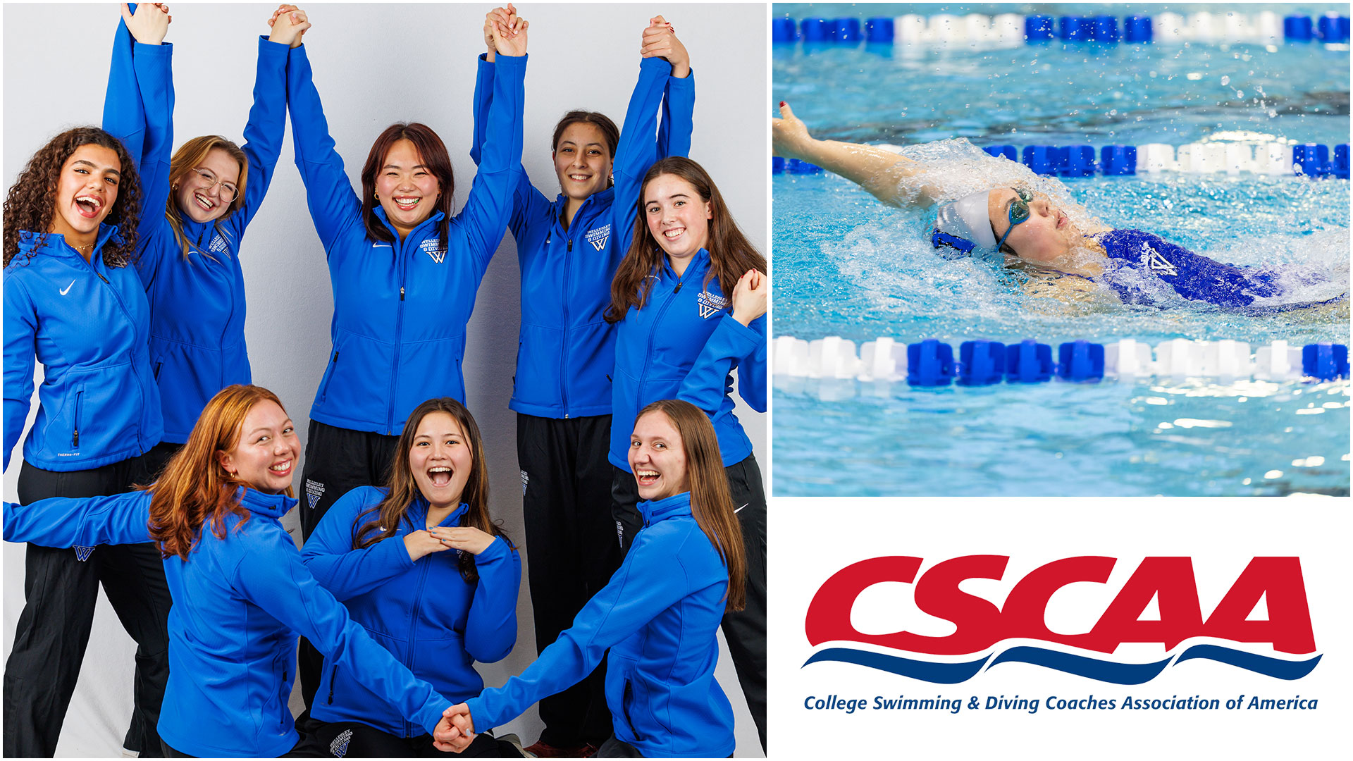 Wellesley swimming & diving has been named a CSCAA Spring Scholar All-America Team (Frank Poulin)
