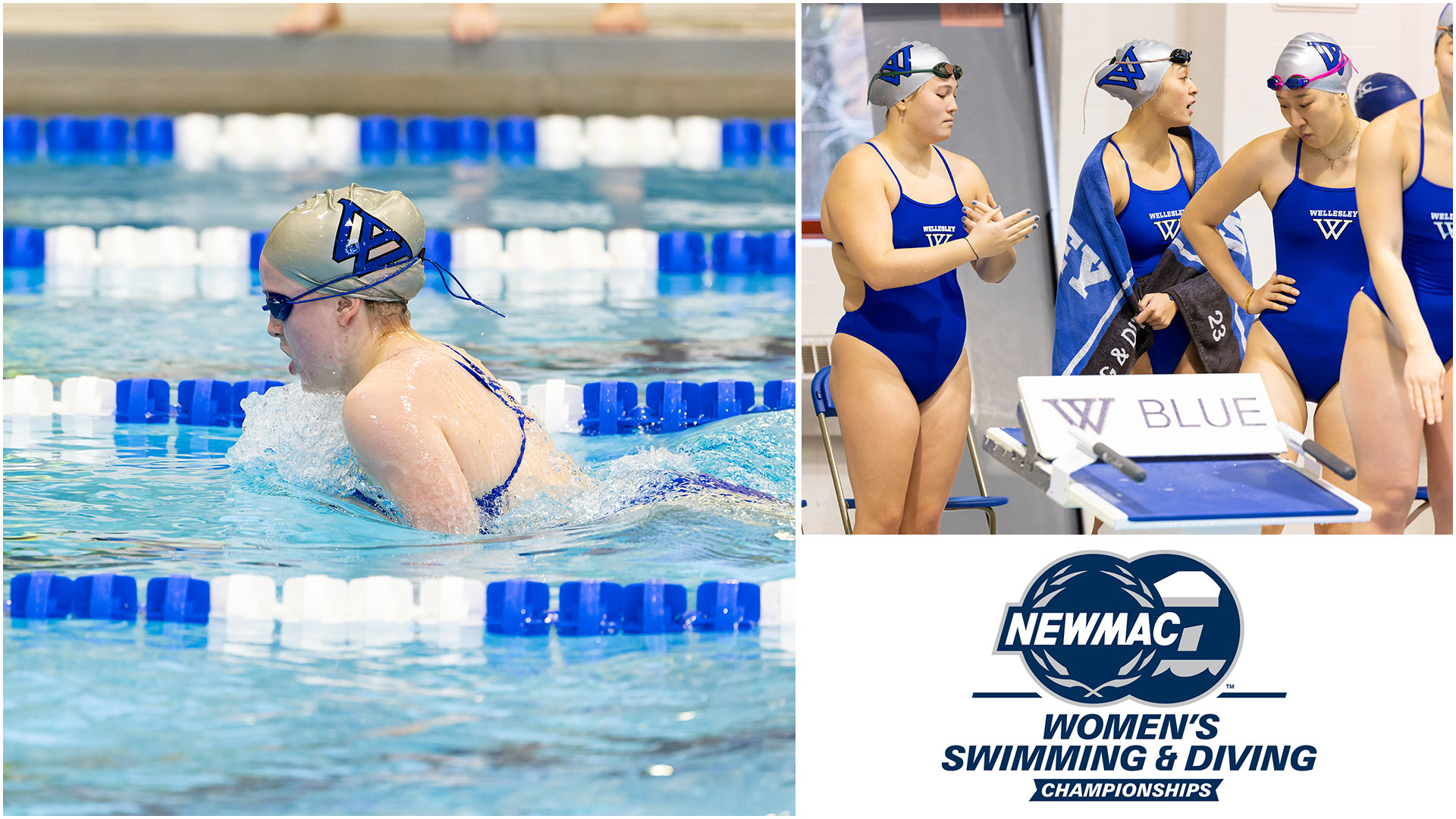Wellesley swimming & diving competes at the NEWMAC Championships beginning on Thursday, February 22 (Frank Poulin)
