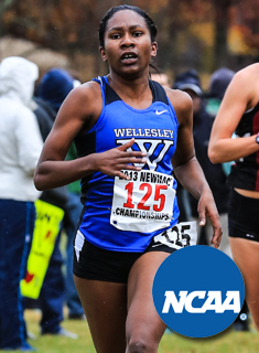 Blue Cross Country Ranks Ninth out of 53 Teams at NCAA Regional