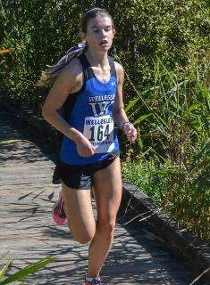 Kelly Takes Title as Blue Cross Country Wins Home Invitational