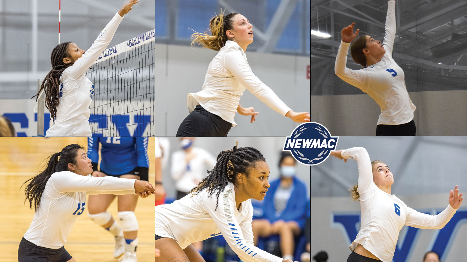 Six Volleyball Members Named to NEWMAC All-Academic Team